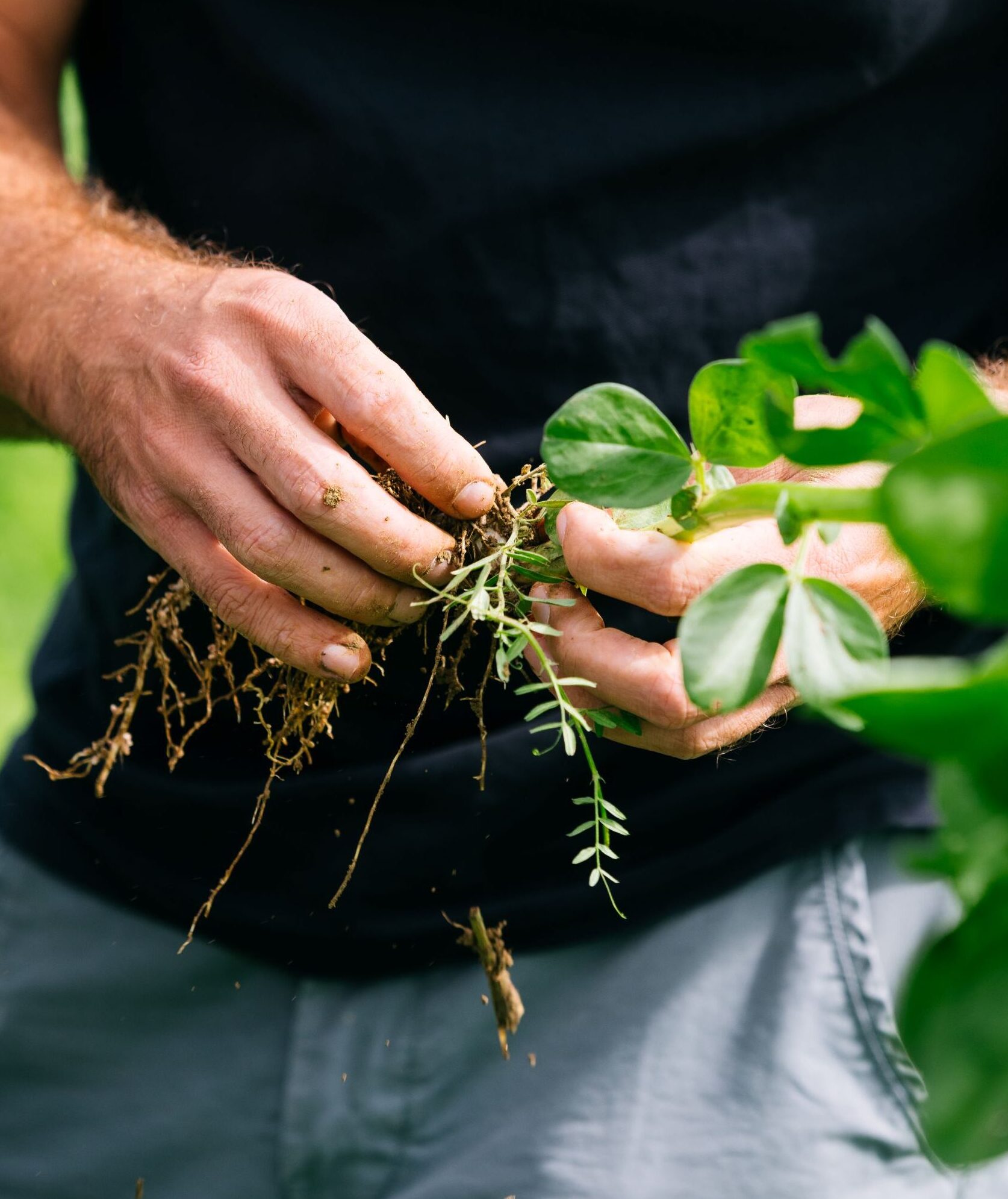 Forum national dédié au sol comme fondation des chaînes alimentaires.