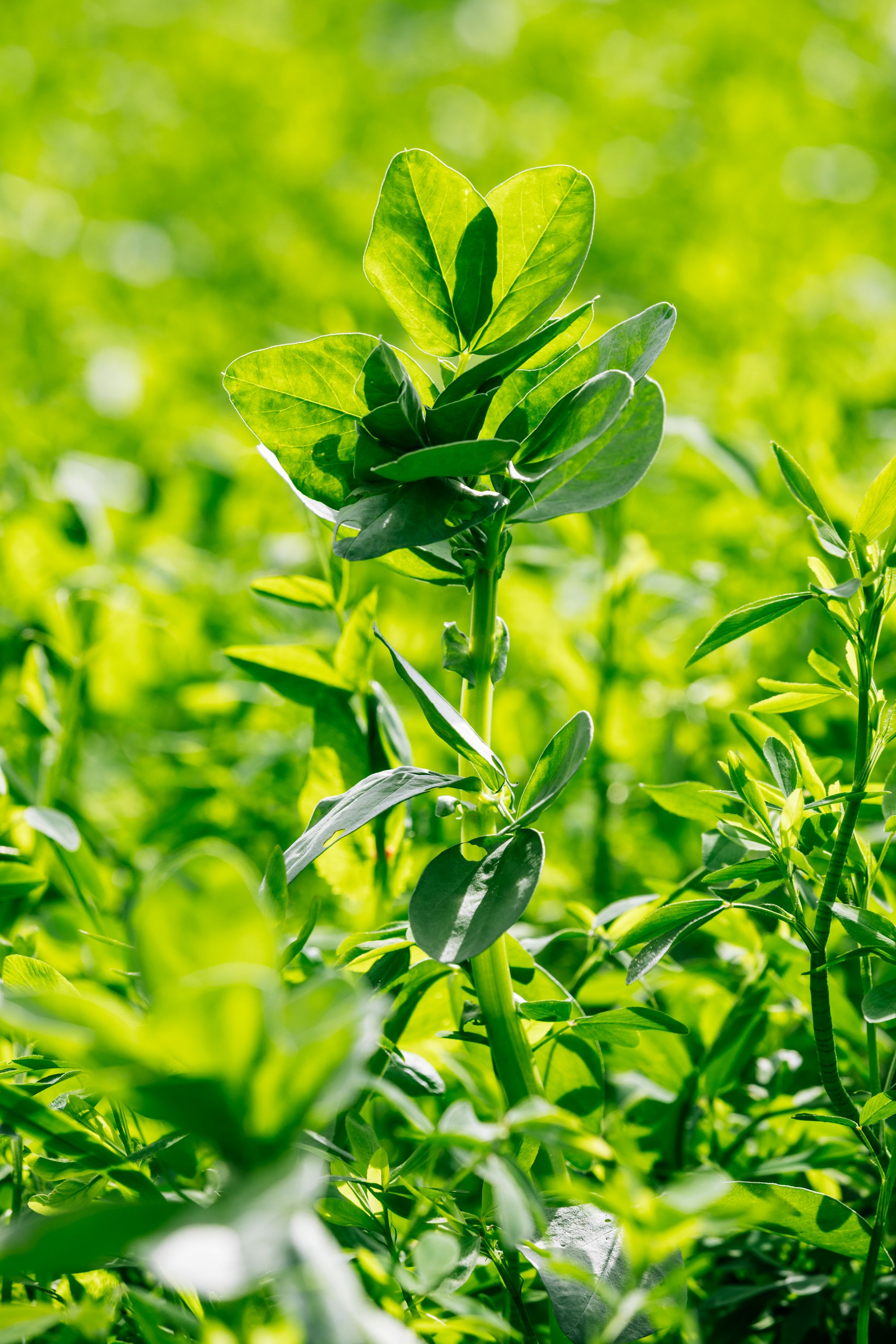<p>Tables rondes, regards croisés et retours d’expérience réuniront scientifiques, décideurs, institutions  et acteurs économiques.</p>
